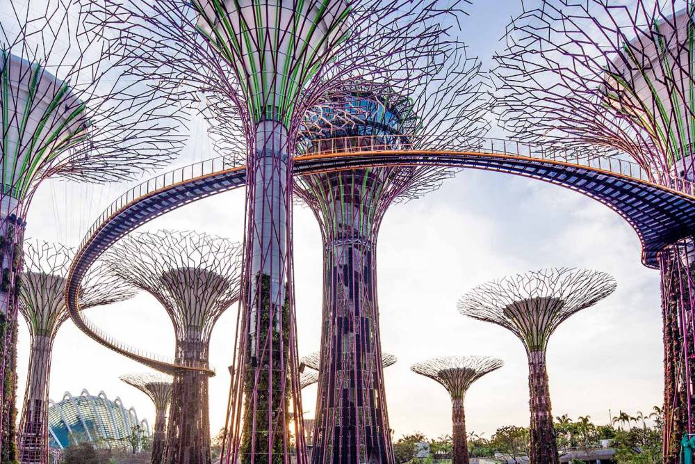OCBC Skyway in Gardens by the Bay Singapore Tickets, timings, offers